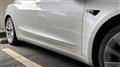 2021 Tesla Motors Others