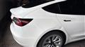 2021 Tesla Motors Others