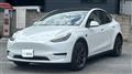 2025 Tesla Motors Others