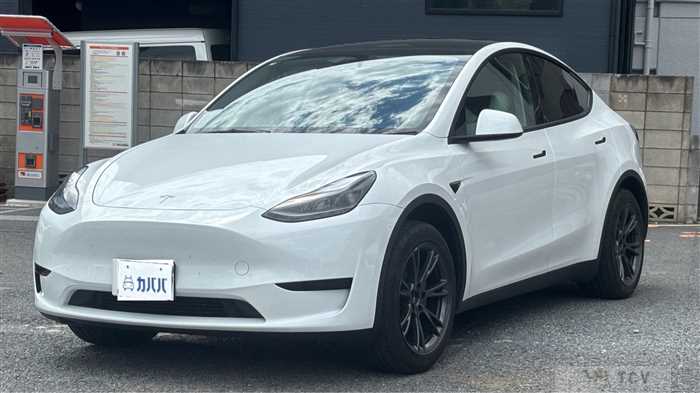 2025 Tesla Motors Others