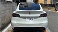 2025 Tesla Motors Others