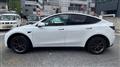 2025 Tesla Motors Others