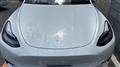 2025 Tesla Motors Others