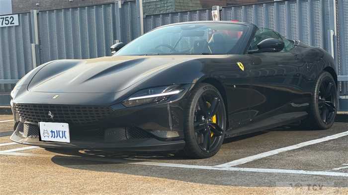 2025 Ferrari Ferrari Others