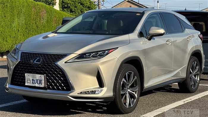 2019 Lexus RX