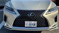 2019 Lexus RX