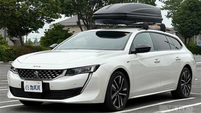 2020 Peugeot Peugoet Others