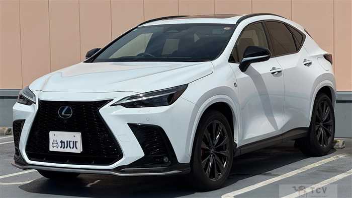 2023 Lexus NX