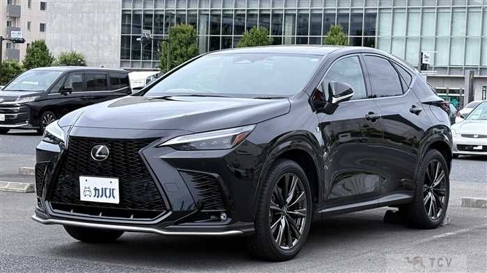 2022 Lexus NX