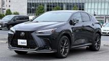 2022 Lexus NX
