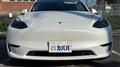 2024 Tesla Motors Others