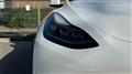 2024 Tesla Motors Others