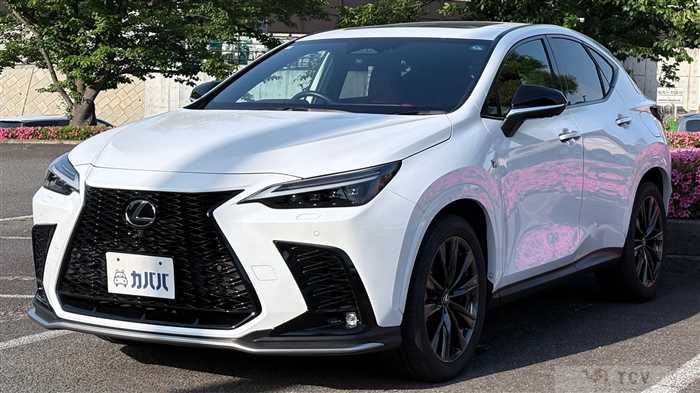 2023 Lexus NX