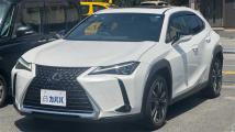 2019 Lexus UX