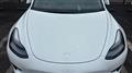 2022 Tesla Motors Others