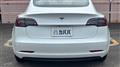 2022 Tesla Motors Others