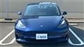 2021 Tesla Motors Others