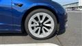 2021 Tesla Motors Others