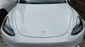 2024 Tesla Motors Others