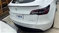 2024 Tesla Motors Others