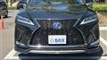 2022 Lexus RX