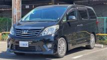 2013 Toyota Alphard