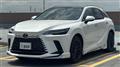 2025 Lexus RX