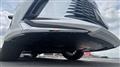 2025 Lexus RX
