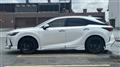 2025 Lexus RX