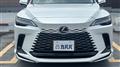 2025 Lexus RX