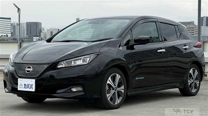 2022 Nissan Leaf