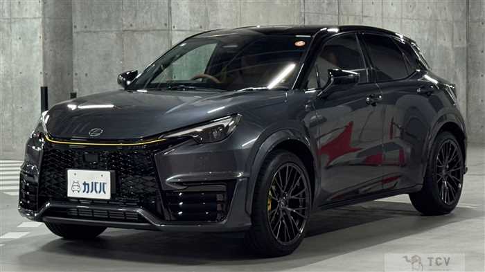 2025 Lexus Other