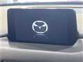2019 Mazda CX-8