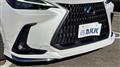 2021 Lexus NX