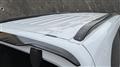 2025 Citroen Citroen Others