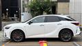 2025 Lexus RX