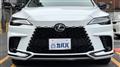 2025 Lexus RX