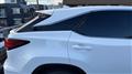 2020 Lexus RX