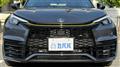 2025 Lexus Other