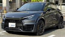 2025 Lexus Other