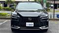 2025 Lexus RX