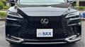 2025 Lexus RX