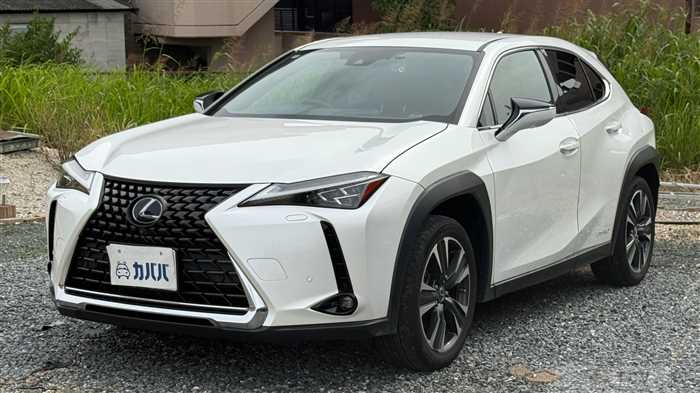 2020 Lexus UX