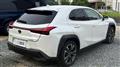 2020 Lexus UX