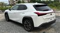 2020 Lexus UX