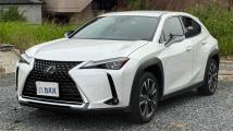 2020 Lexus UX