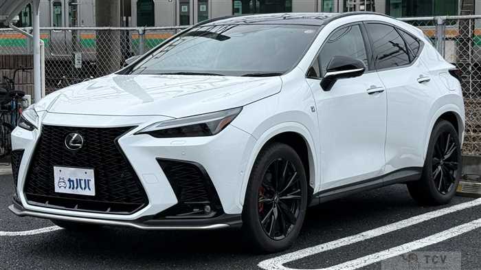 2024 Lexus NX