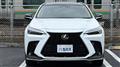 2024 Lexus NX
