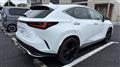 2024 Lexus NX