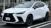 2024 Lexus NX